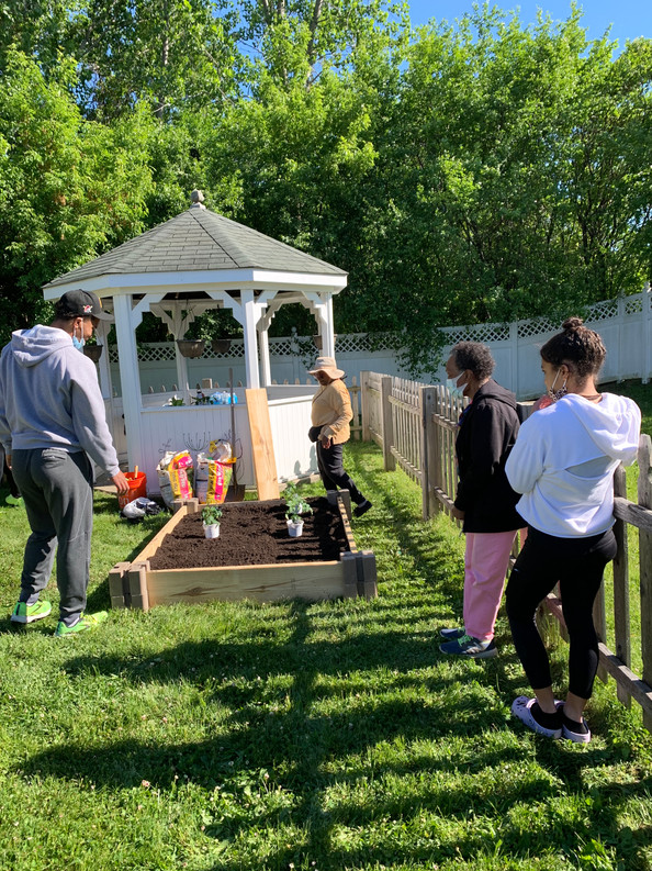 New bed is complete and vegetables are ready to be planted
