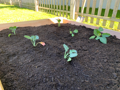 All tucked in & ready to GROW!