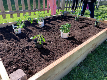 Making sure the baby veggies are placed JUST right before getting tucked into the soil.
