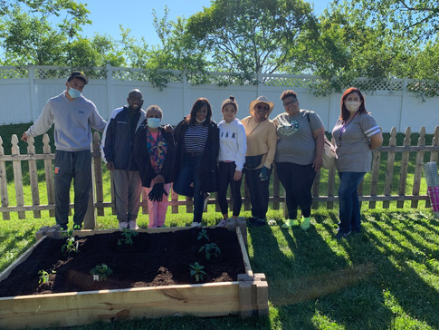 Thanks to everyone for your hard work. The vegetable bed looks beautiful!