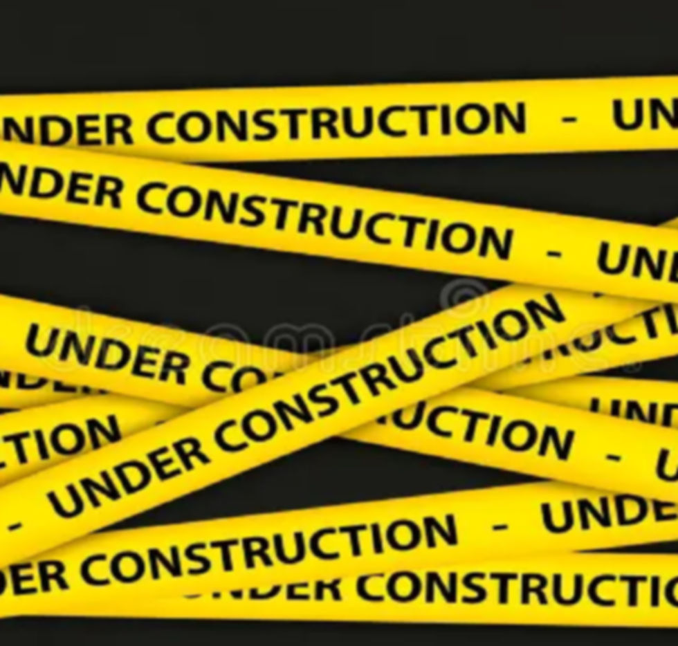 projects section.jpg