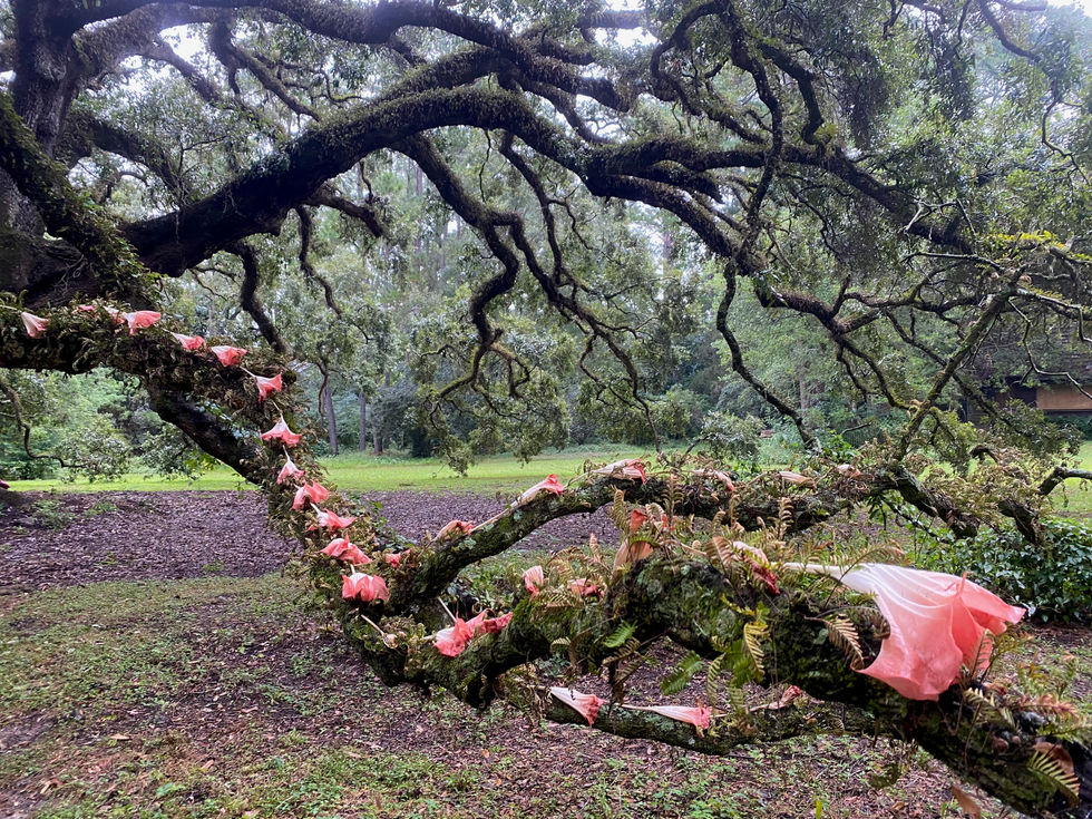 The Shape of Nature, Andy Goldsworthy inspired 