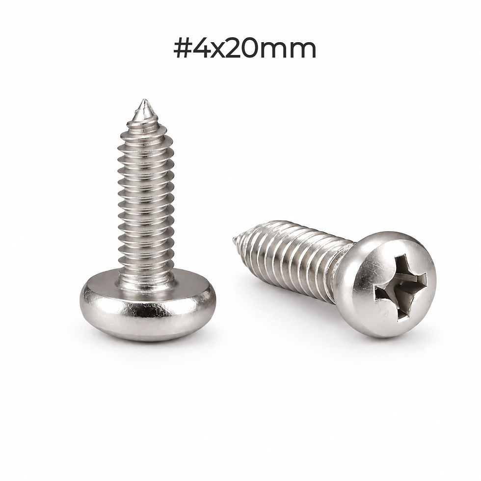 #4x20mm SS304 Pan Head Self Tapping Screw Pointed End  | enginear .in