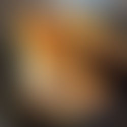 Enchiladas mit Schinken und Spargel