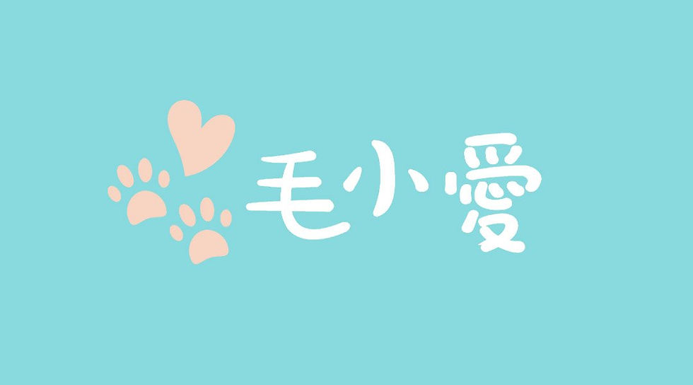 cover_TPE_Fluv毛小愛_產業開發Q4'20_毛起來愛_RGB_App