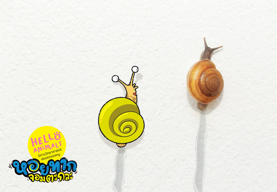 HelloAnimals-Snail.jpg