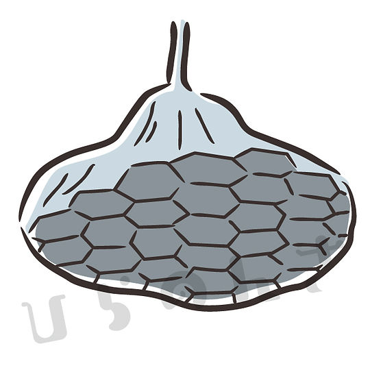 蜂の巣のイラスト