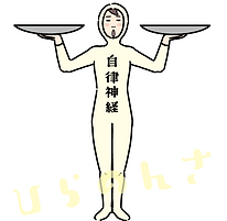 自律神経のキャラクターのイラスト