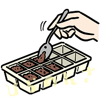 製氷皿で味噌の一塊をつくるイラスト