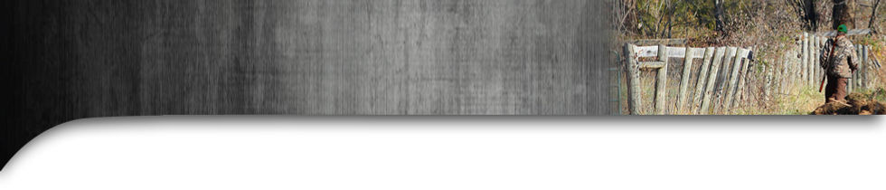 rankam Top cata banner2023 A rev2N.jpg