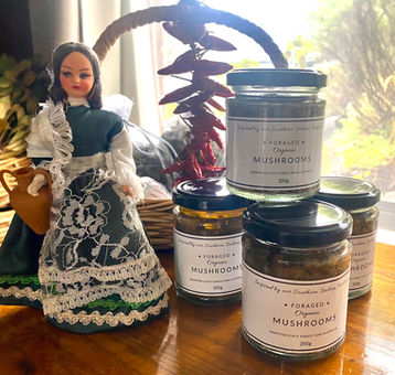 Preserved using traditional methods and extra virgin olive oil, you'll find it hard to stop eating these mushrooms with crunchy bread!