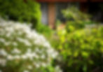 Front door and garden