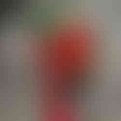 Homegrown bell peppers