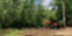 land clearing and stump grinding - nate gunter_edited.jpg
