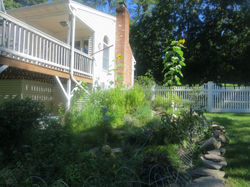 love my Herb Garden.JPG