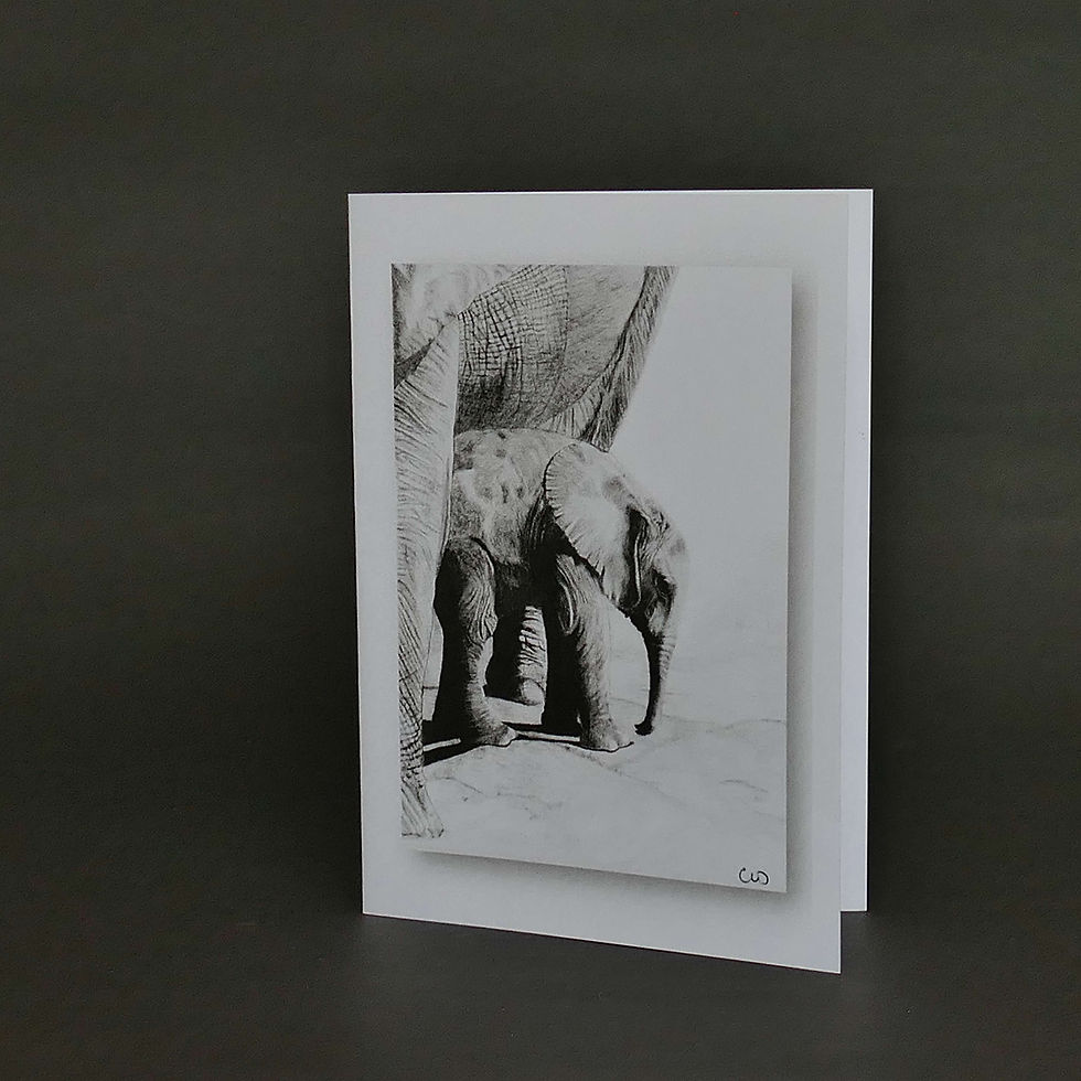 CARD006