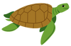 Sea Turtle simple 1.png