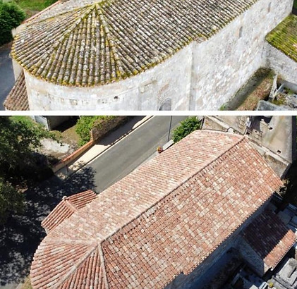 Demoussage avant-après.jpg