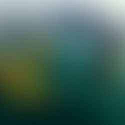 Southeast Asian Culture 