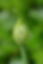 sandy-millar-p2HdFeFNyGk-unsplash_edited.jpg