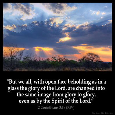 January 22 – Turning to the Light – A Devotion