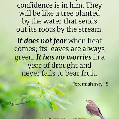 August 5 – Tree Planted by the Water #spiritualinspiration
