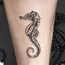 SINDI IPPO _edited.jpg