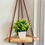 Thumbnail: Macrame Corner Plant Pot Hanger