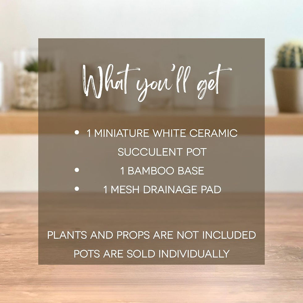 Thumbnail: Water Me Funny Succulent Pot