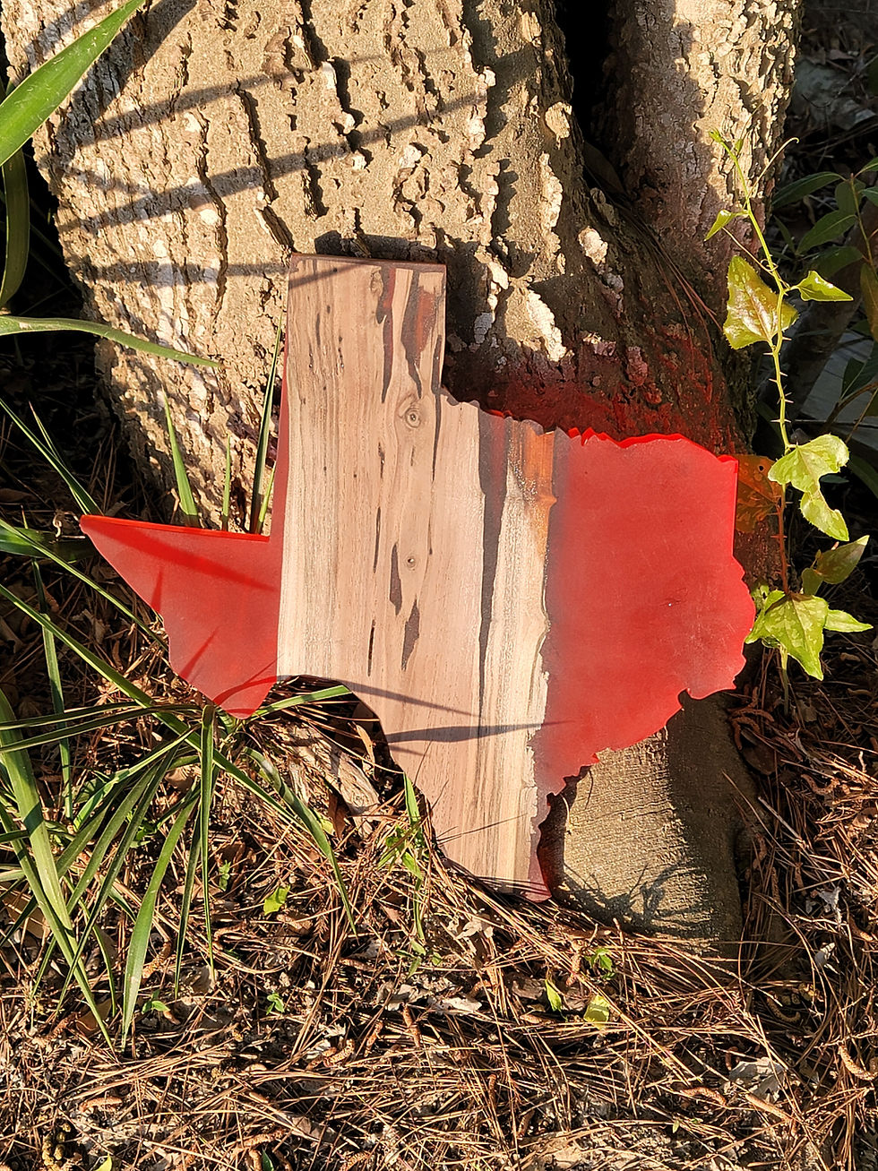 Thumbnail: State of Texas Wood/Resin Wall Art