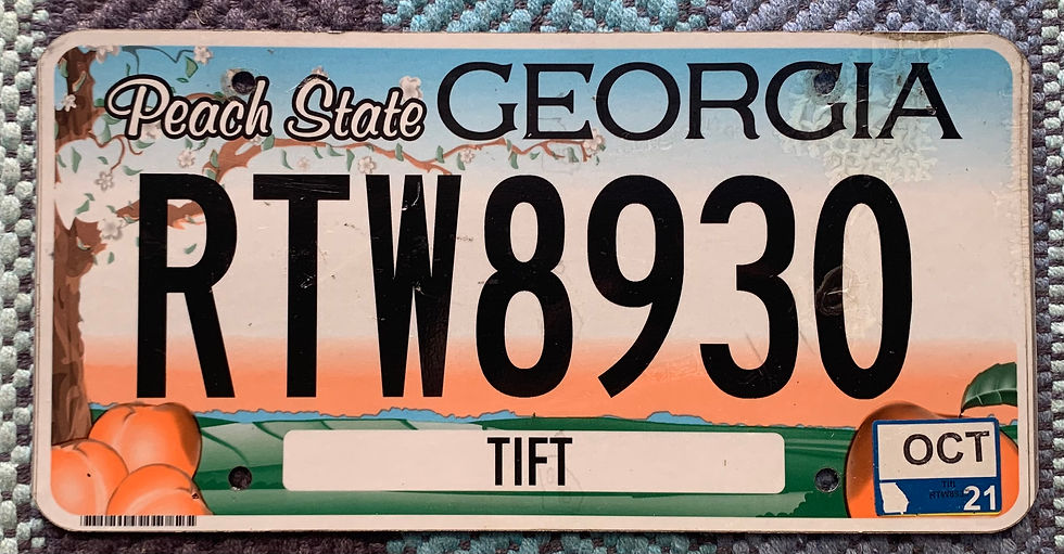 Georgia Peach State