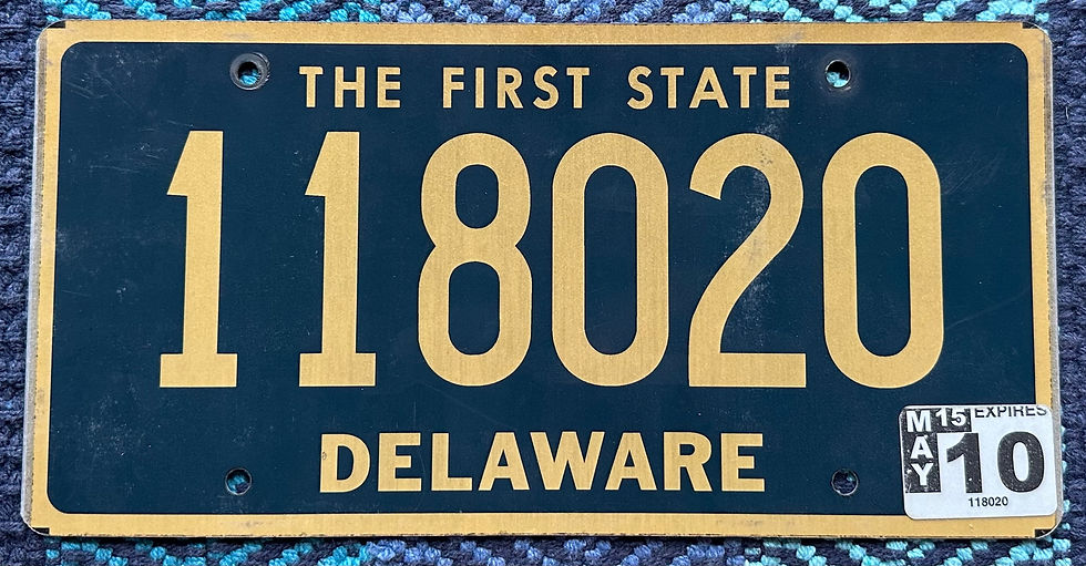 Delaware 2010