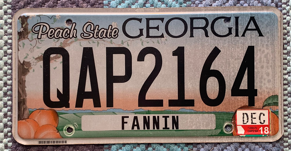 Georgia Peach State