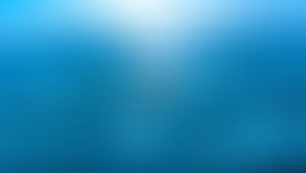 【取名改名】姓、氏、名、字、号