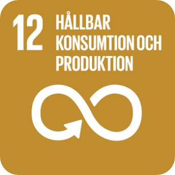 Ikon FN:s globala hållbarhetsmål 12