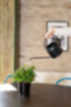 Hand håller vattenkanna som vattnar krukväxt