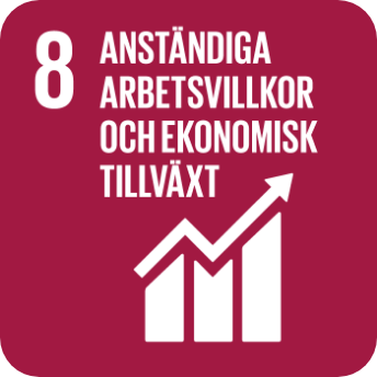 Ikon FN:s globala hållbarhetsmål 8