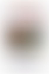 台美攝影學會2026春季攝影聯展