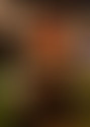 遂に完成!!『新宿駆け込み餃子』