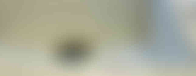 Després reparació de dalt Dekton