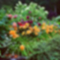 6818443E-820E-4EC2-BF78-DB13B747B255.jpe