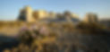 _DSC4564_edited.jpg