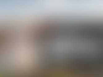 MODULAR HOMES - A SMART SOLUTION FOR THE HOUSING CRISIS