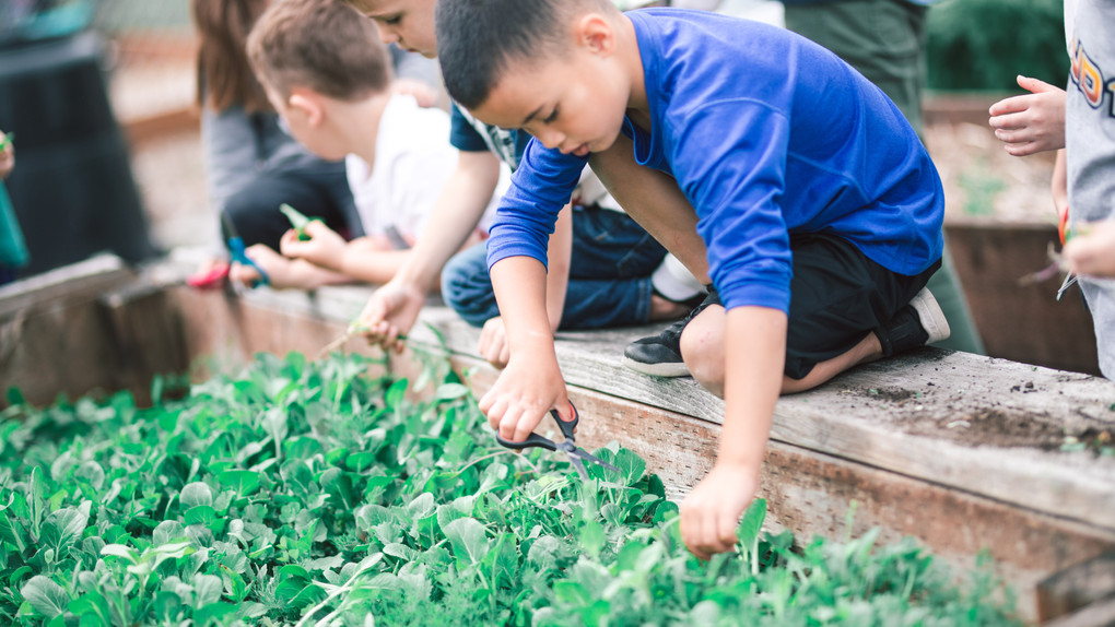 Preschool Christ the King Lutheran Church and Preschool Snohomish