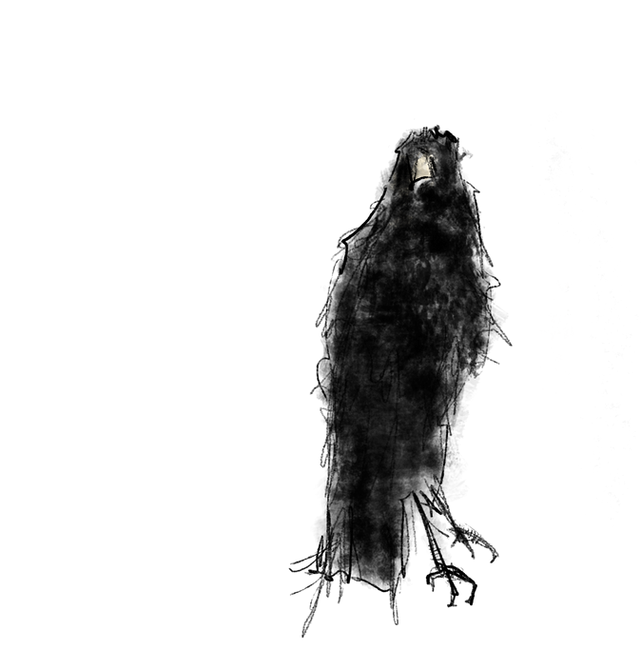 BIRD 1.png