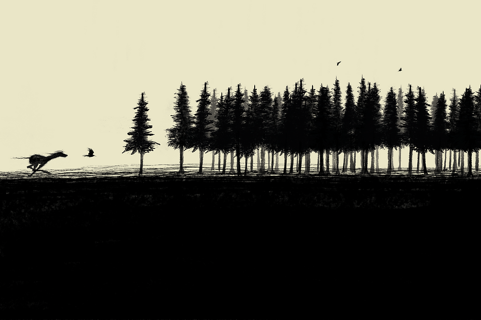 WILDOGIRL(NoText)(210x280)1.11.258.png