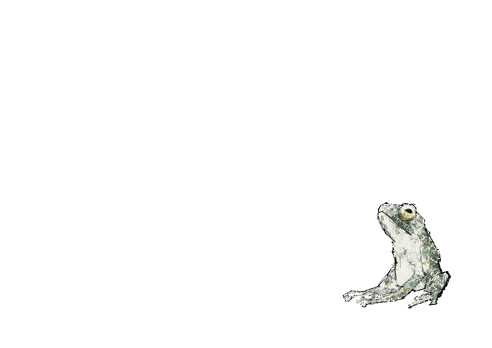 Frog_Movie#1.gif