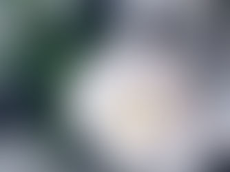 Eteriske oljer vs Duftoljer : Hva er forskjellen?