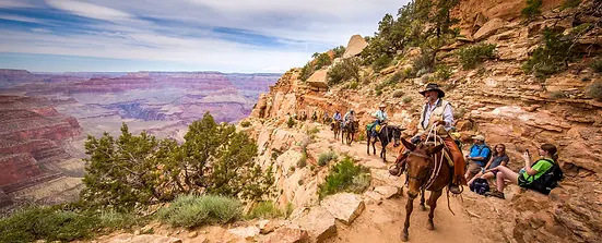 grand-canyon-national-park-south-rim-mule-ride-via-magazine-shutterstock_641227468.jpg.web