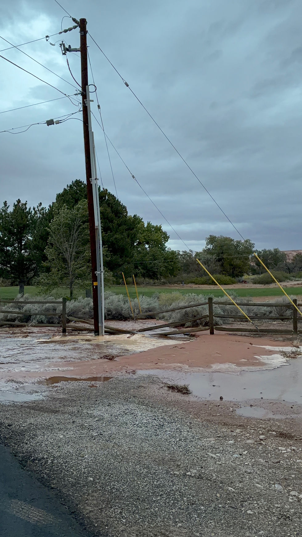 Telephone pole and fence near water line break. Water is pooling at site.